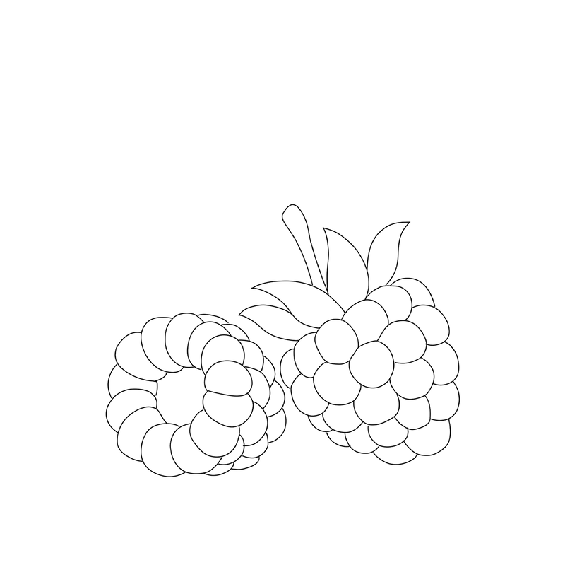 HOCHWERTIGE ZUTATEN